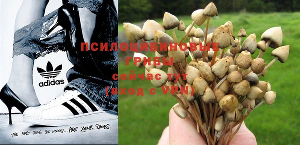 MDMA Алзамай