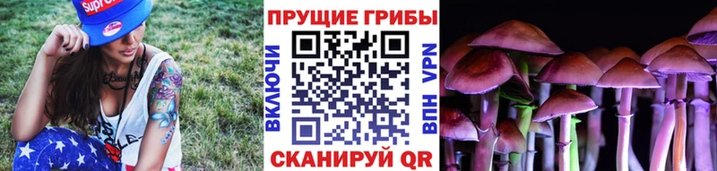 Псилоцибиновые грибы прущие грибы  Билибино 
